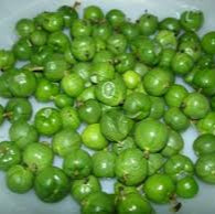 Miniature Passion Fruit seeds for planting - Heirloom & Non-GMO Garden seeds