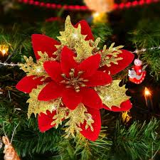 Red Poinsettia Flower Seeds for Planting – Hardy Variety, Heirloom, GMO Free Organic Garden Seeds