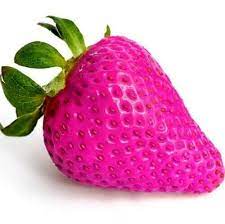 Fruit Seeds,Garden seeds, Seeds For Planting,Plant Seeds