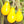 Vegetable Seeds,Garden seeds, Seeds For Planting,Plant Seeds
