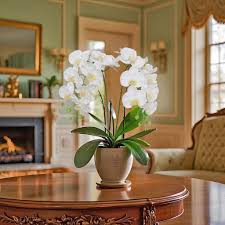 Phalaenopsis Orchid Flower Seeds for Planting – Heirloom, Non-GMO, Bright Bloom Organic Garden Seeds