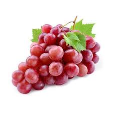 Fruit Seeds,Garden seeds, Seeds For Planting,Plant Seeds