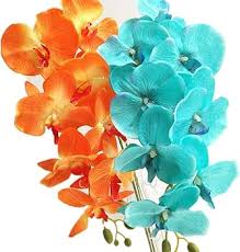 Blue Butterfly Orchid Flower Seeds for Planting | Heirloom, Non-GMO, High Germination, Organic Garden Seeds