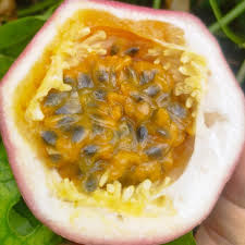 Passiflora Edulis Passion fruit seeds for planting - Heirloom & Non-GMO garden seeds, orange sweet variety