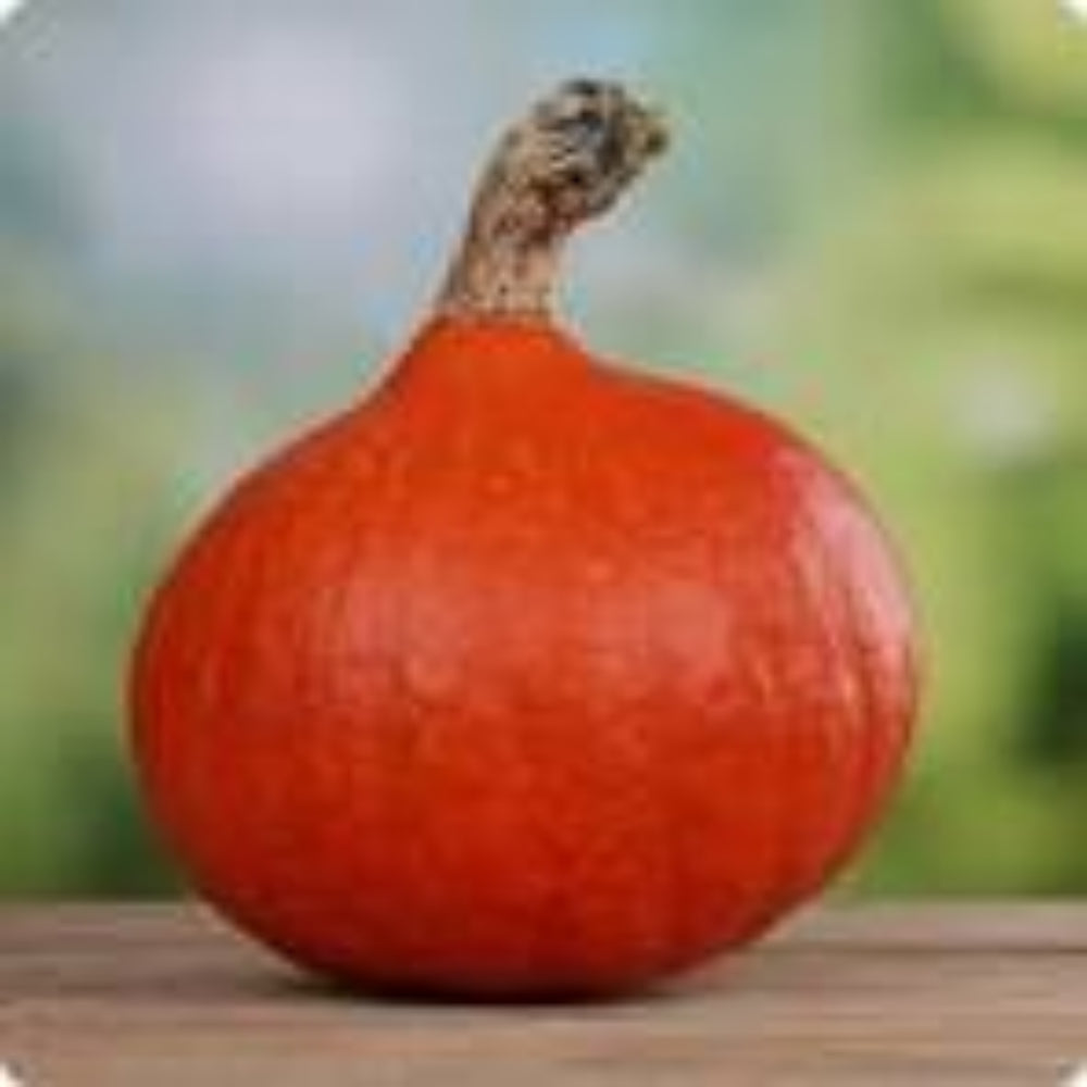 Vegetable Seeds,Garden seeds, Seeds For Planting,Plant Seeds