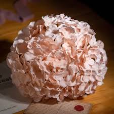Peach Hydrangea Flower Seeds for Planting | Heirloom Non-GMO Organic Garden Seeds