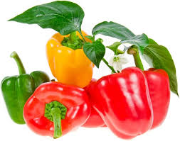 Vegetable Seeds,Garden seeds, Seeds For Planting,Plant Seeds