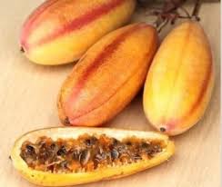 Orange Banana Passion Fruit seeds for planting – Heirloom & Non-GMO garden seeds for tangy tropical vines