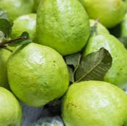 Fruit Seeds,Garden seeds, Seeds For Planting,Plant Seeds