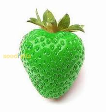 Strawberry Green fruit seeds for planting - Heirloom & Non-GMO Garden seeds