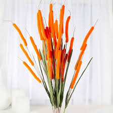 Cattail Flower Seeds for Planting – Vibrant Colors, Heirloom, Non-GMO, High Germination Garden Seeds