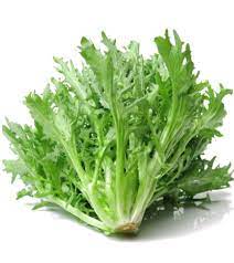 Vegetable Seeds,Garden seeds, Seeds For Planting,Plant Seeds