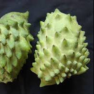 Annon fruit seeds for planting - Heirloom & Non-GMO Garden seeds for tropical exotic fruit trees