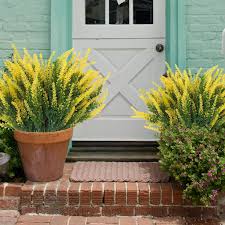 Light Yellow Lavender Flower Seeds for Planting – Heirloom, Non-GMO, Premium Quality Organic Garden Seeds