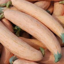 Vegetable Seeds,Garden seeds, Seeds For Planting,Plant Seeds