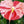 Baby Pink Anthurium Flower Seeds 100 pcs – Heirloom, Non-GMO, High Germination Wildflower Seeds for Organic Garden Planting