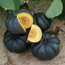 Vegetable Seeds,Garden seeds, Seeds For Planting,Plant Seeds
