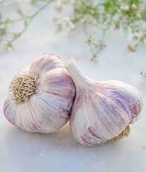 Vegetable Seeds,Garden seeds, Seeds For Planting,Plant Seeds