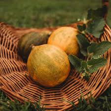 Vegetable Seeds,Garden seeds, Seeds For Planting,Plant Seeds