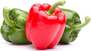 Bell Pepper California Wonder Seeds – High Yield, Sweet & Crisp Heirloom Variety