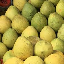 Heirloom Yellow Mini Pummelo Seeds – Non-GMO Citrus Fruit Seeds for Planting at Home
