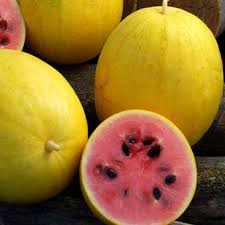 Golden Midget Watermelon fruit seeds for planting – Heirloom & Non-GMO sweet mini garden seeds