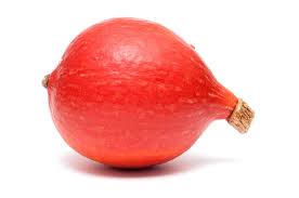 Hokkaido Pumpkin Red Kuri Seeds for Planting – Heirloom Non‑GMO High Germination Organic Garden Seeds
