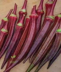 Maroon Red Okra Seeds for Planting – Heirloom Non-GMO, High Germination Organic Vegetable Garden Seeds