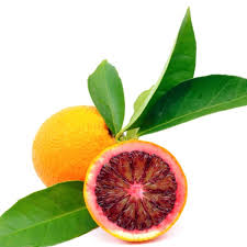 Blood Orange Fruit Seeds for Planting – Heirloom, Non-GMO Citrus Garden Seeds