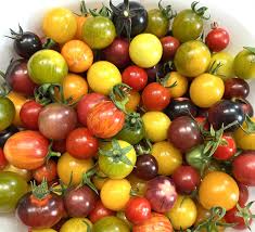 Mixed Colour Tomato Seeds for Planting – Heirloom Non-GMO Variety Pack – Organic Garden Seeds, High Germination