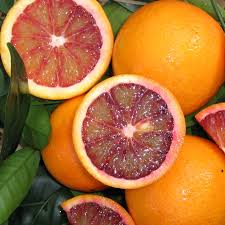 Blood Orange Fruit Seeds for Planting – Heirloom, Non-GMO Citrus Garden Seeds