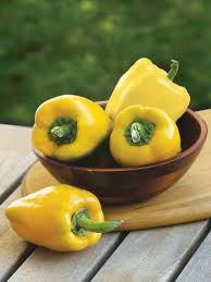 Light Yellow Bell Pepper flower seeds for planting - Heirloom & Non-GMO Garden Seeds