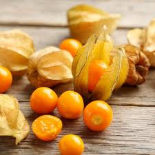 Golden Berry Physalis Seeds for Planting – Heirloom, Non-GMO Superfruit Seeds