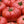 Big Tomato Seeds for Planting – Red Heirloom Non-GMO, High Germination Organic Garden Seeds for Flavorful Harvest