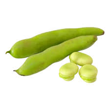 Dolichos Beans Seeds for Planting – Heirloom, Non-GMO, Vigorous Vines – Organic Garden Seeds