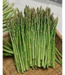 Asparagus Mary Washington Seeds – Heirloom, High Yield, Non-GMO Vegetable Seeds for Home Garden