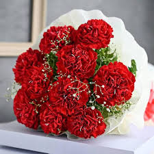 Red Carnation Dianthus Caryophyllus Flower Seeds for Planting – Heirloom, Non-GMO, High Germination Seeds