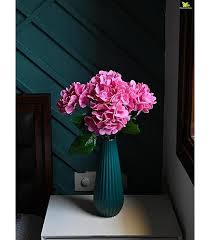 Fuchsia Dames Rocket Flower Seeds for Planting – Heirloom, Non-GMO, High Germination Organic Garden Seeds