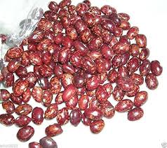 Red Cargamanto flower seeds for planting - Heirloom & Non-GMO Garden Seeds