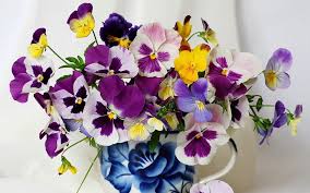 Pansy Flower Seeds for Planting – Wildflower Mix, Heirloom, Non-GMO Organic Garden Seeds