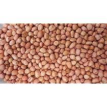 Dichondra Peanut Plant Seeds for Planting – Heirloom Non-GMO Early Spanish Peanut Seeds