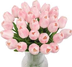 Light Pink Tulip Seeds for Planting – Premium Quality, Heirloom, Non-GMO Organic Garden Seeds