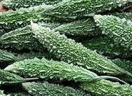 Vegetable Seeds,Garden seeds, Seeds For Planting,Plant Seeds