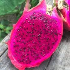 Fruit Seeds,Garden seeds, Seeds For Planting,Plant Seeds