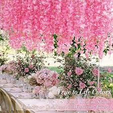 Wisteria Flower Seeds for Planting – Vibrant Colors, Heirloom, GMO Free Organic Garden Seeds