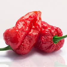 Vegetable Seeds,Garden seeds, Seeds For Planting,Plant Seeds