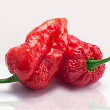 Vegetable Seeds,Garden seeds, Seeds For Planting,Plant Seeds