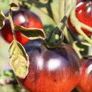 Vegetable Seeds,Garden seeds, Seeds For Planting,Plant Seeds