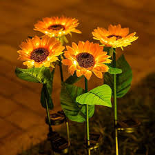 Sunflower Flower Seeds for Planting – Heirloom Non-GMO High Germination Organic Garden Seeds
