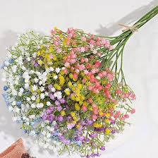 Mixed Gypsophila Paniculata Flower Seeds for Planting – Long Bloom Season, Heirloom, Non-GMO, High Germination Organic Garden Seeds